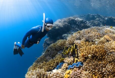 Diving - a person in a diving suit and goggles swims over a coral reef