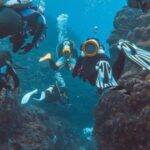 Diving Fins - Underwater Photograph of Divers with Equipment and Rocks