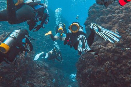 Diving Fins - Underwater Photograph of Divers with Equipment and Rocks