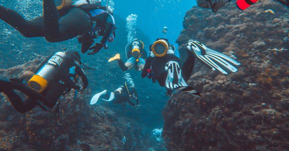 Diving Fins - Underwater Photograph of Divers with Equipment and Rocks