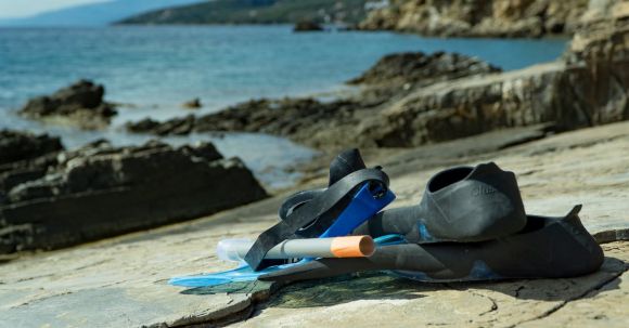 Snorkel - Black Rubber Flipper on Gray Concrete Surface during Daytime
