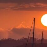 Marine - Boats Sailing on Sea during Sunset