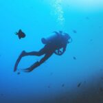 Diving - person scuba diving