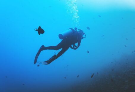 Diving - person scuba diving