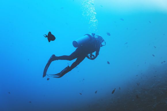 Diving - person scuba diving