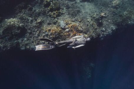 Scuba Diving - Scuba Diver Underwater