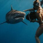 Scuba Diving - Woman Scuba Diving with Fish