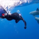 Scuba Diving - Person Swimming with Dolphins