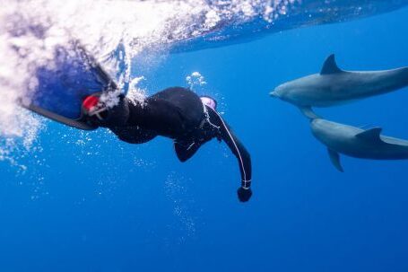 Scuba Diving - Person Swimming with Dolphins