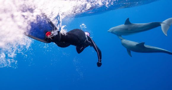 Scuba Diving - Person Swimming with Dolphins