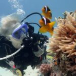 Scuba Diving - person near clown fishes