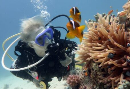 Scuba Diving - person near clown fishes