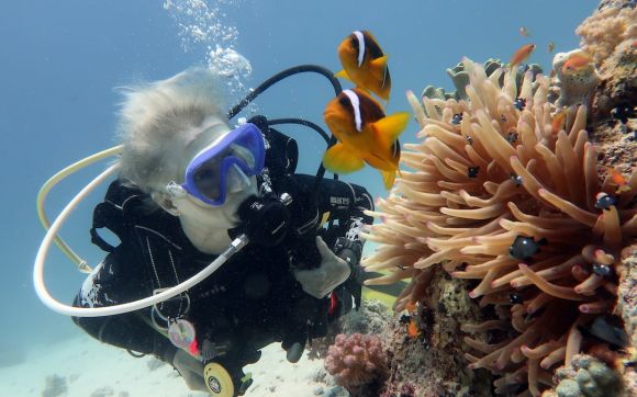 Scuba Diving - person near clown fishes