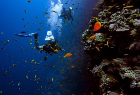 Diving - man in black wet suit diving on water with school of fish