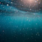 Diving - body of water