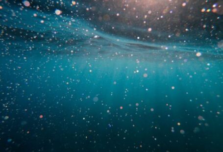 Diving - body of water