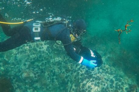 Scuba Diving - A Scuba Diver with an Underwater Scooter