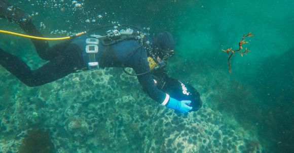 Scuba Diving - A Scuba Diver with an Underwater Scooter