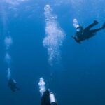 Scuba Diving - Group of People Scuba Diving