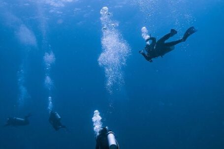 Scuba Diving - Group of People Scuba Diving