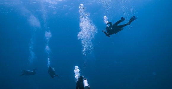 Scuba Diving - Group of People Scuba Diving