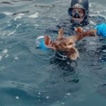 Scuba Diving - Scuba Diver Holding a Fish