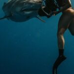 Scuba Diving - Woman Scuba Diving near Fish