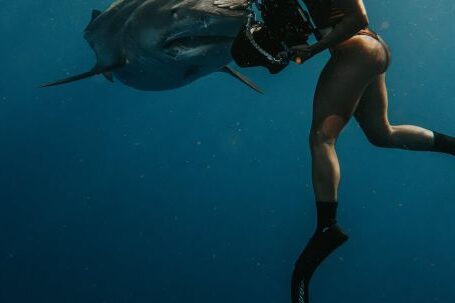 Scuba Diving - Woman Scuba Diving near Fish