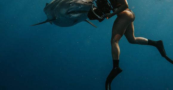 Scuba Diving - Woman Scuba Diving near Fish