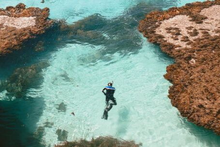 Snorkeling - A Man in Black Wet Suit in Water