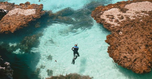 Snorkeling - A Man in Black Wet Suit in Water