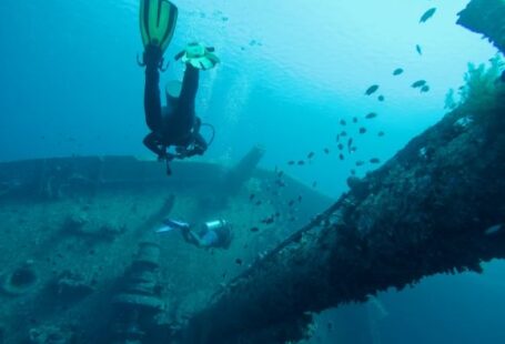Shipwrecks For Diving - man wearing scuba diving swimming in water