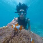 Snorkel - Photo of Person Swimming Near School of Clown Fish