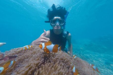 Snorkel - Photo of Person Swimming Near School of Clown Fish