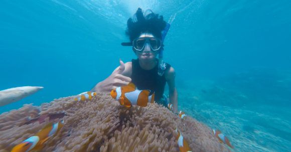 Snorkel - Photo of Person Swimming Near School of Clown Fish