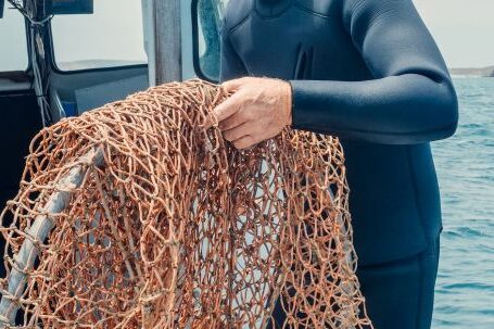 Diving Boat - Man in Black Diving Suit Holding Fishing Net on a Boat