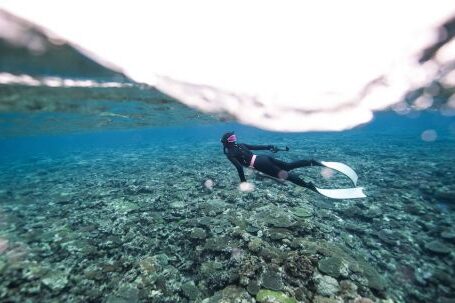 Scuba Diving - Scuba Diver Swimming Under Surface