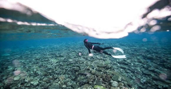 Scuba Diving - Scuba Diver Swimming Under Surface